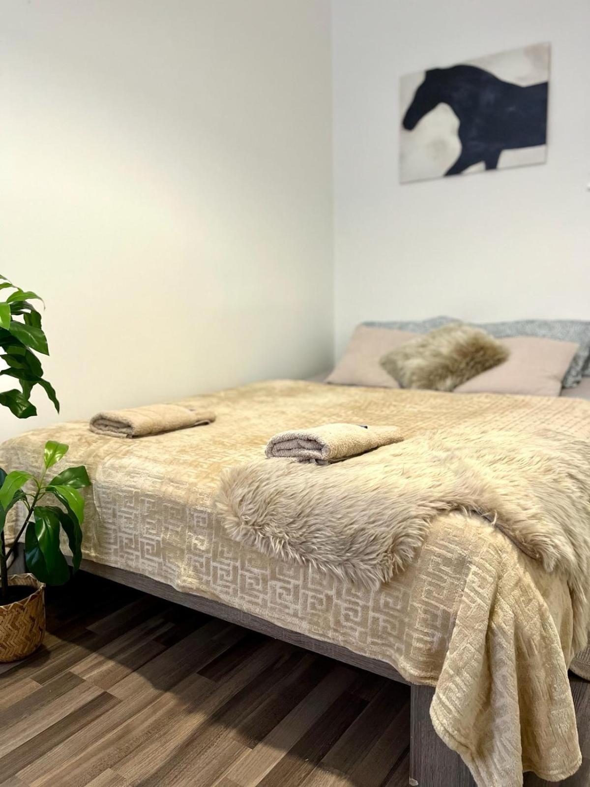 Apartment Adele - Old Town Братислава Экстерьер фото